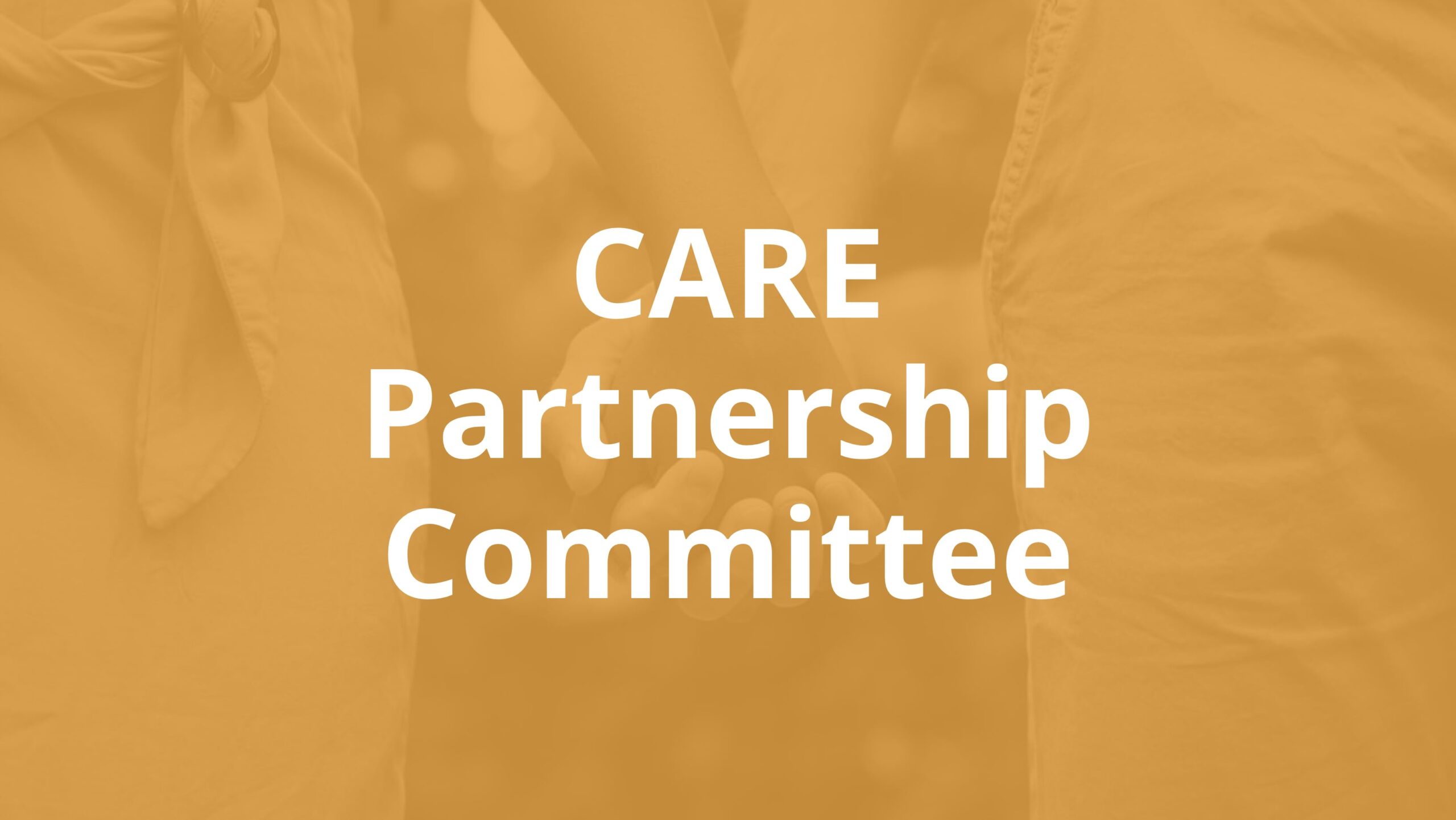 Read more about the article CARE  Partnership Committee (Virtual)